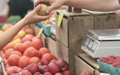 BASES V CAMPAÑA DEL COMERCIO LOCAL