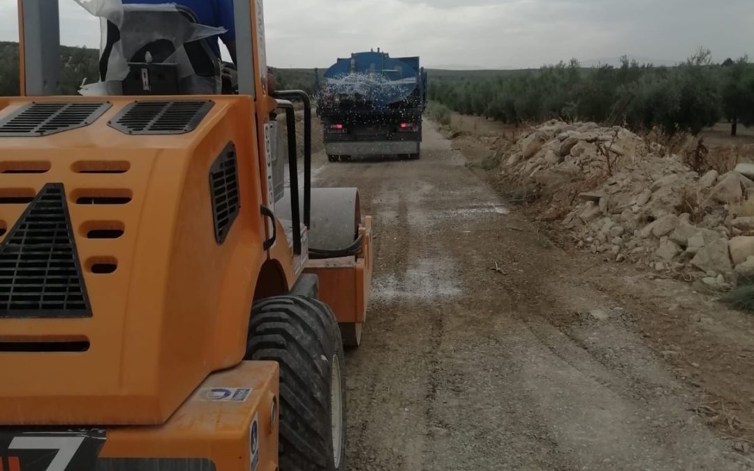 Notificación Plaza Peón de Servicios