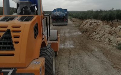 Notificación Plaza Peón de Servicios